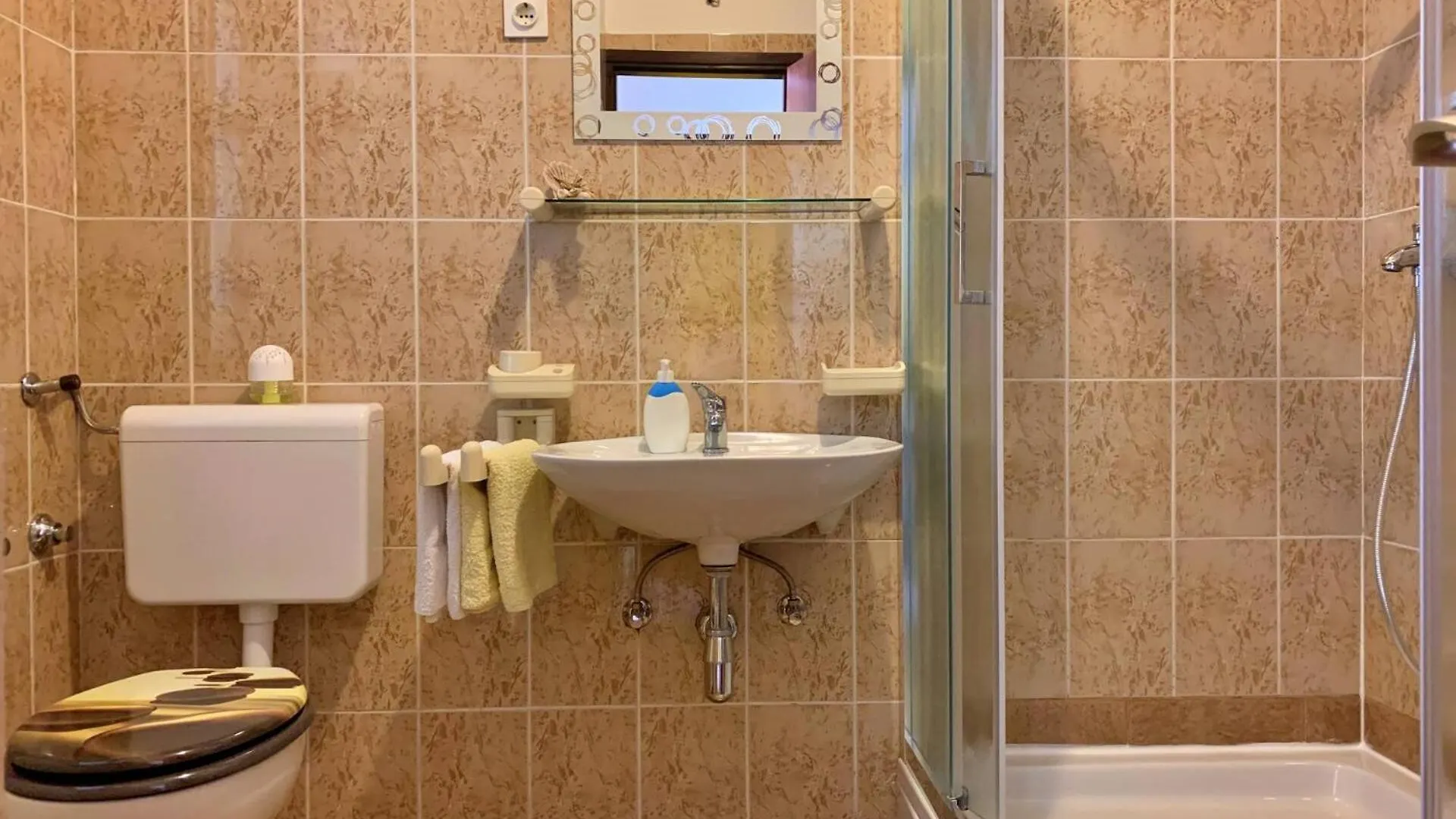 Guest house Apartments Santic Cizici