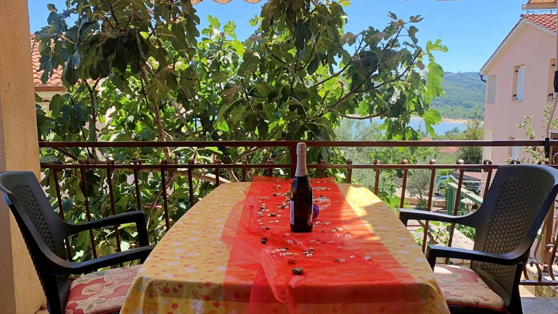 Guest house Apartments Santic Cizici